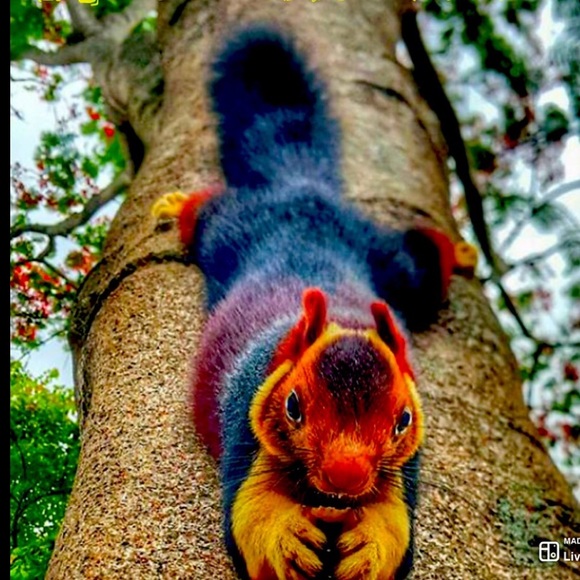 UPDATING TAG LIST please respond if you want to be added, stay-on or taken off - Picture 2 of 2